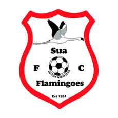 Sua Flamingoes
